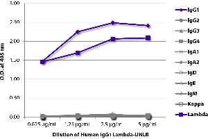 ELISA plate was coated with serially diluted Human IgG1 Lambda-UNLB and quantified.