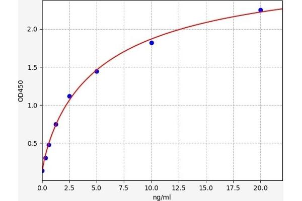 CDK5 ELISA Kit