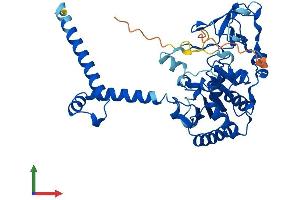 Protein Structure (PS) image for Sirtuin 7 (SIRT7) (AA 1-400) protein (His tag) (ABIN7555569)