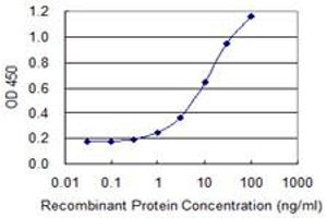 Detection limit for recombinant GST tagged DPYSL5 is 0. (DPYSL5 antibody  (AA 1-564))