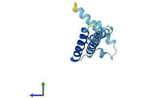 AlphaFold protein structure predicition of Mouse Recombinant Mpc2 Protein, UniprotID Q9D023 (BRP44 Protein (AA 1-127) (His tag))