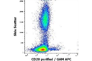 Flow cytometry surface staining pattern of human peripheral whole blood stained using anti-human CD20 (MEM-97) purified antibody (concentration in sample 1. (CD20 antibody)