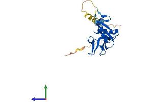 Protein Structure (PS) image for Killer Cell Lectin-Like Receptor Subfamily B, Member 1 (KLRB1) (AA 1-214) protein (His tag) (ABIN7556961)