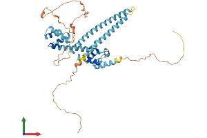 Protein Structure (PS) image for Activity-Regulated Cytoskeleton-Associated Protein (Arc) (AA 1-396) protein (His tag) (ABIN7556299)