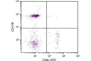 Chicken peripheral blood lymphocytes were stained with Mouse Anti-Chicken CD8α-FITC. (CD8 alpha antibody  (FITC))