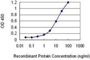 Detection limit for recombinant GST tagged HAAO is 0. (HAAO antibody  (AA 97-196))