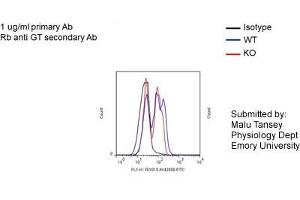 FACS -- Sample type: Bone marrow derived monocytes from mice BV2 cellsDilution: 1ug/mL (RGS10 antibody  (N-Term))