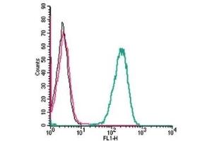 Cell surface detection of Plexin-C1 by indirect flow cytometry in live intact human THP-1 monocytic leukemia cells: (black line) Cells. (Plexin C1 antibody  (Extracellular, N-Term))
