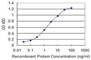 Detection limit for recombinant GST tagged GNRHR2 is 0. (GNRHR2 antibody  (AA 237-292))