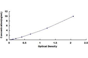Interferon Regulatory Factor 5 (IRF5) ELISA Kit