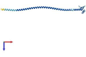 SPC24 Protein (AA 1-197) (His tag)