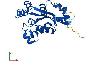 AlphaFold protein structure predicition of Human Recombinant NME6 Protein, UniprotID O75414