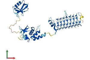 AlphaFold protein structure predicition of Human Recombinant KCTD9 Protein, UniprotID Q7L273