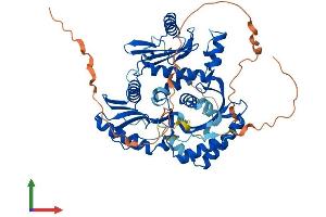 AlphaFold protein structure predicition of Human Recombinant MON1B Protein, UniprotID Q7L1V2