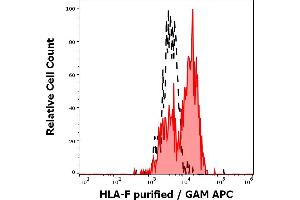 Separation of human activated lymphocytes stained using anti-human HLA-F (3D11) purified antibody (concentration in sample 5 μg/mL, GAM APC, red-filled) from human activated lymphocytes unstained by primary antibody (GAM APC, black-dashed) in flow cytometry analysis (surface staining) of human PMA + Ionomycin stimulated peripheral blood mononuclear cells.