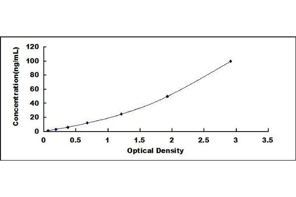 C5A ELISA Kit