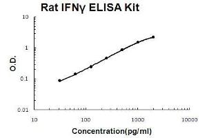 Rat IFN gamma PicoKine ELISA Kit standard curve (Interferon gamma ELISA Kit)