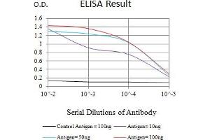 Black line: Control Antigen (100 ng),Purple line: Antigen (10 ng), Blue line: Antigen (50 ng), Red line:Antigen (100 ng) (CD130/gp130 antibody  (AA 73-231))