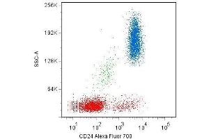 Surface staining of human peripheral blood cells with anti-CD24 (SN3) Alexa Fluor® 700. (CD24 antibody)