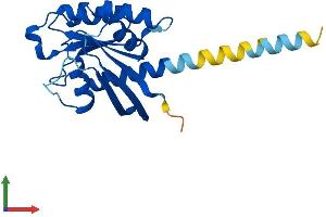 Protein Structure (PS) image for RAS-Like, Estrogen-Regulated, Growth Inhibitor (RERG) (AA 1-199) protein (His tag) (ABIN7551280)