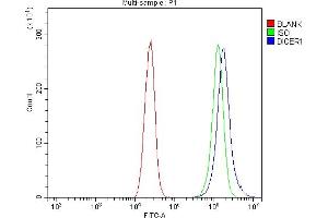 Flow Cytometry analysis of Caco-2 cells using anti-Dicer/DICER1 antibody (ABIN7600147).