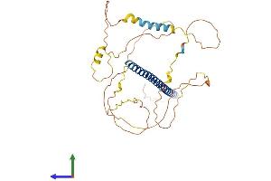 AlphaFold protein structure predicition of Human Recombinant JUNB Protein, UniprotID P17275 (JunB Protein (AA 1-347) (His tag))