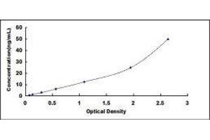ELISA image for Complement Factor B (CFB) ELISA Kit (ABIN415699)