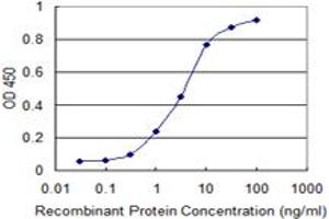 Detection limit for recombinant GST tagged RAD23B is 0. (RAD23B antibody  (AA 311-409))