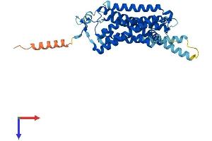 AlphaFold protein structure predicition of Mouse Recombinant Taar7e Protein, UniprotID Q5QD09 (TAAR7E Protein (AA 1-358) (His tag))
