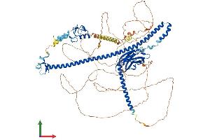 AlphaFold protein structure predicition of Human Recombinant TRIM37 Protein, UniprotID O94972 (TRIM37 Protein (AA 1-964) (His tag))