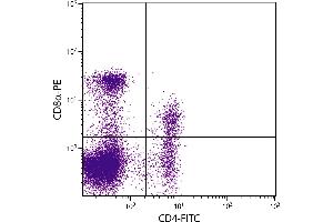 Porcine peripheral blood lymphocytes were stained with Mouse Anti-Porcine CD8α-PE. (CD8 alpha antibody  (PE))