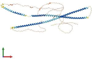 AlphaFold protein structure predicition of Human Recombinant KRT84 Protein, UniprotID Q9NSB2 (Keratin 84 Protein (KRT84) (AA 1-600) (His tag))