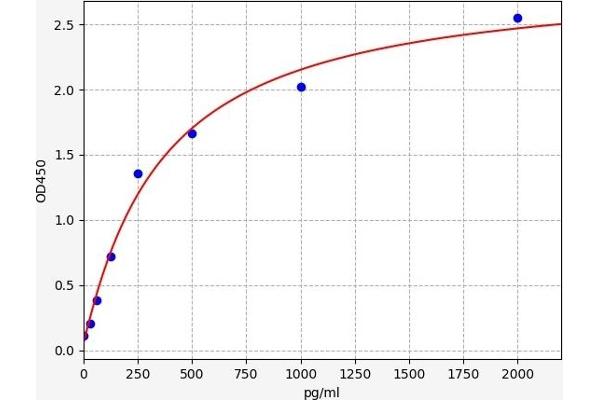 STUB1 ELISA Kit