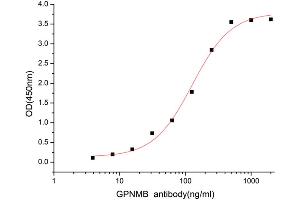 Neuromedin B (AA 23-486) (Active) protein (His tag)