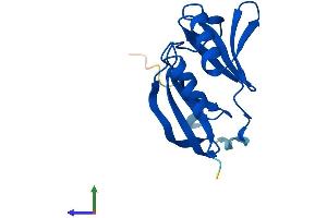 AlphaFold protein structure predicition of Mouse Recombinant Glod5 Protein, UniprotID Q9D8I3