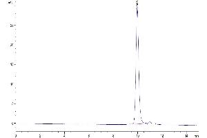 The purity of Biotinylated Human IL-1 Beta is greater than 95 % as determined by SEC-HPLC. (IL-1 beta Protein (AA 117-269) (His-Avi Tag,Biotin))