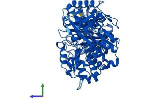 AlphaFold protein structure predicition of Human Recombinant PGM1 Protein, UniprotID P36871 (Phosphoglucomutase 1 Protein (PGM1) (AA 1-562) (His tag))