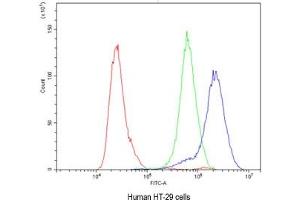 Flow Cytometry (FACS) image for anti-Carbonic Anhydrase II (CA2) antibody (ABIN5647703)