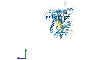 AlphaFold protein structure predicition of Human Recombinant PSMC4 Protein, UniprotID P43686