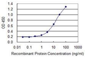 Detection limit for recombinant GST tagged DPT is 0. (Dermatopontin antibody  (AA 101-201))