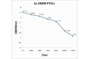 Antigen: 0. (Prostaglandin E Synthase antibody  (AA 85-152))