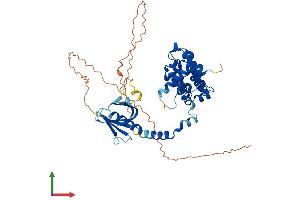 AlphaFold protein structure predicition of Mouse Recombinant Arhgap15 Protein, UniprotID Q811M1