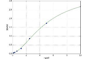 IMP (Inosine 5'-Monophosphate) Dehydrogenase 2 (IMPDH2) ELISA Kit