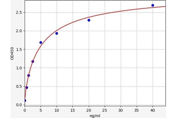 GPA33 ELISA Kit