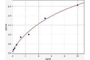 Typical standard curve (LIN7B ELISA Kit)