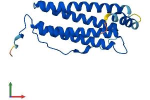 AlphaFold protein structure predicition of Human Recombinant FTHL17 Protein, UniprotID Q9BXU8