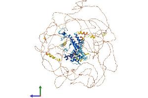 AlphaFold protein structure predicition of Human Recombinant RSF1 Protein, UniprotID Q96T23 (RSF1 Protein (AA 1-1441) (His tag))