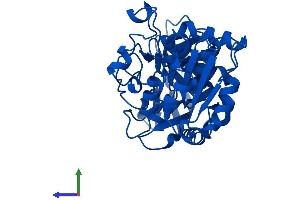 Protein Structure (PS) image for Alcohol Dehydrogenase 4 (Class II), pi Polypeptide (ADH4) (AA 1-377) protein (His tag) (ABIN7561802)