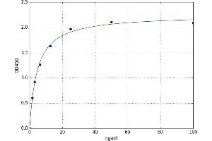 A typical standard curve