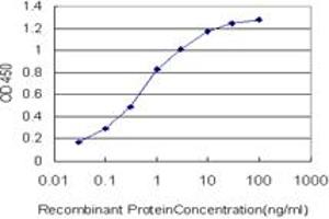 Detection limit for recombinant GST tagged SGK2 is approximately 0. (SGK2 antibody  (AA 293-367))
